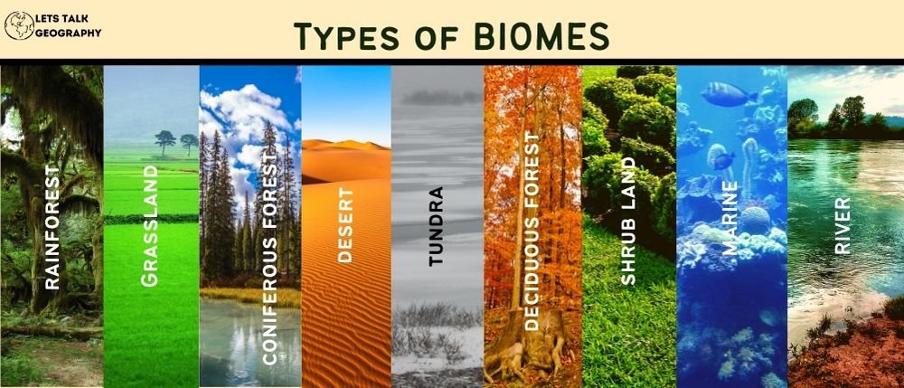 Types of Biomes