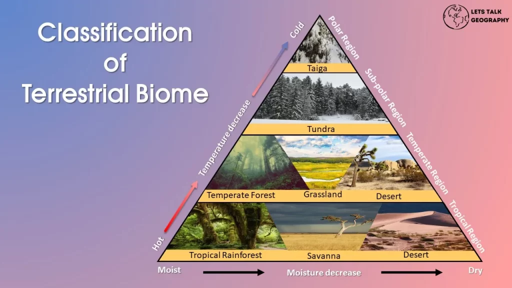 Biomes Definition, Explanation, Examples, Types, List And, 46% OFF