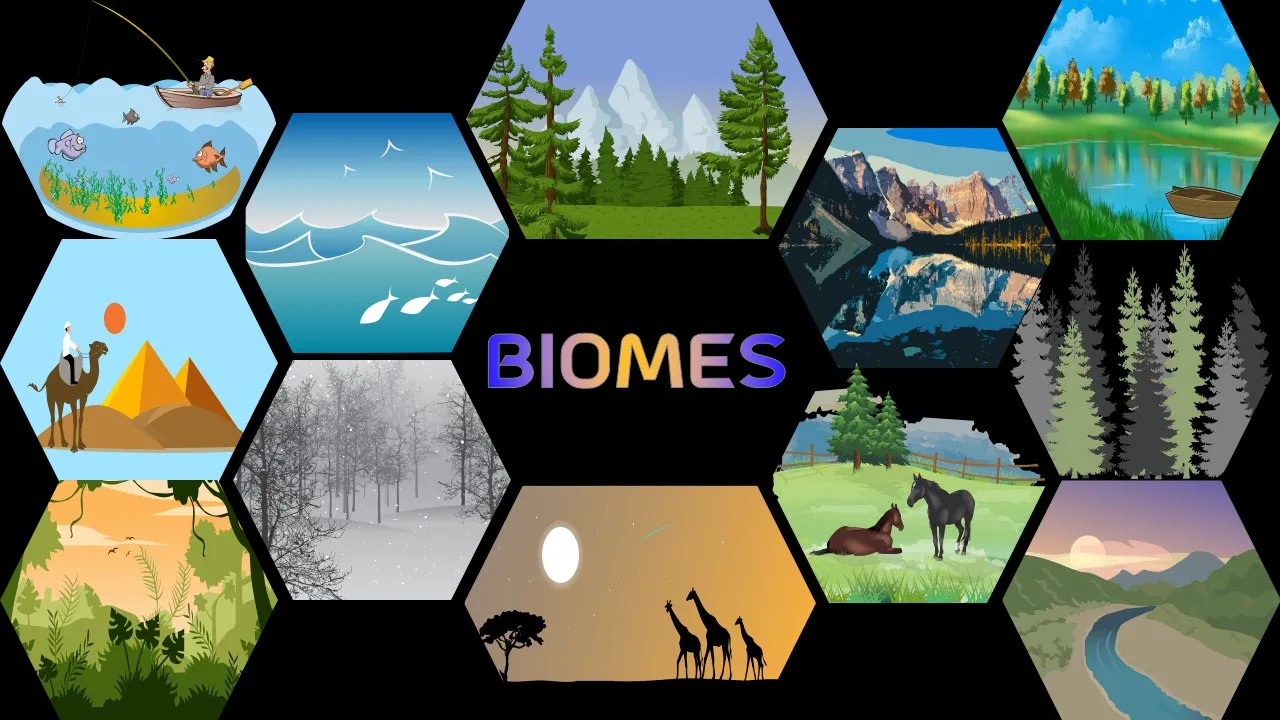 home - HSIE - Geography - Year 9 - Sustainable Biomes - LibGuides at ...