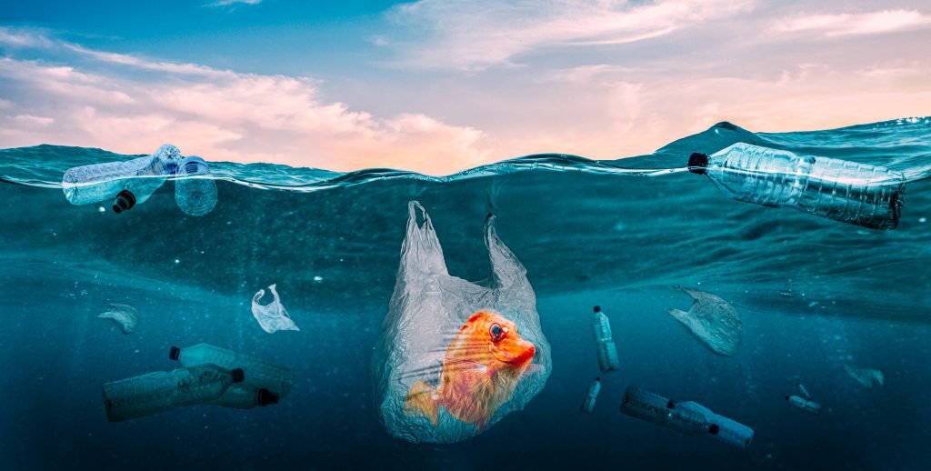 plastics seas global problem |