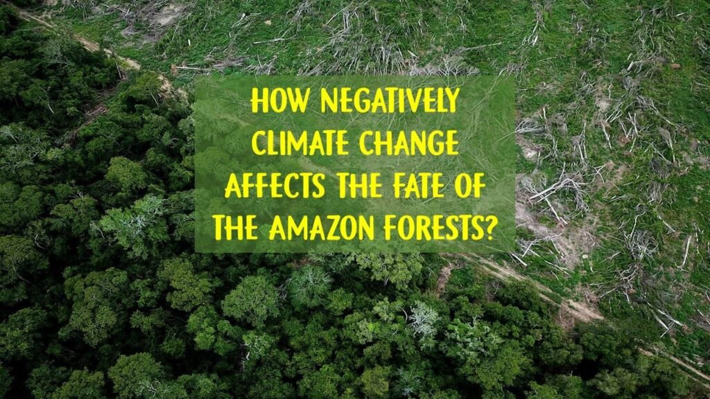 How Negatively Climate Change Affects the Fate of the Amazon Forests?