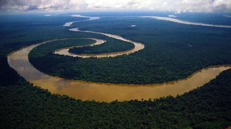 Climate Change affects the fate of the Amazon forests