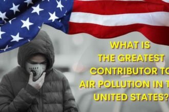 What is the greatest contributor to air pollution in the United States?