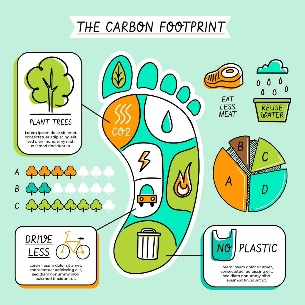 Seven Steps Forward: A smaller carbon footprint for you, a giant