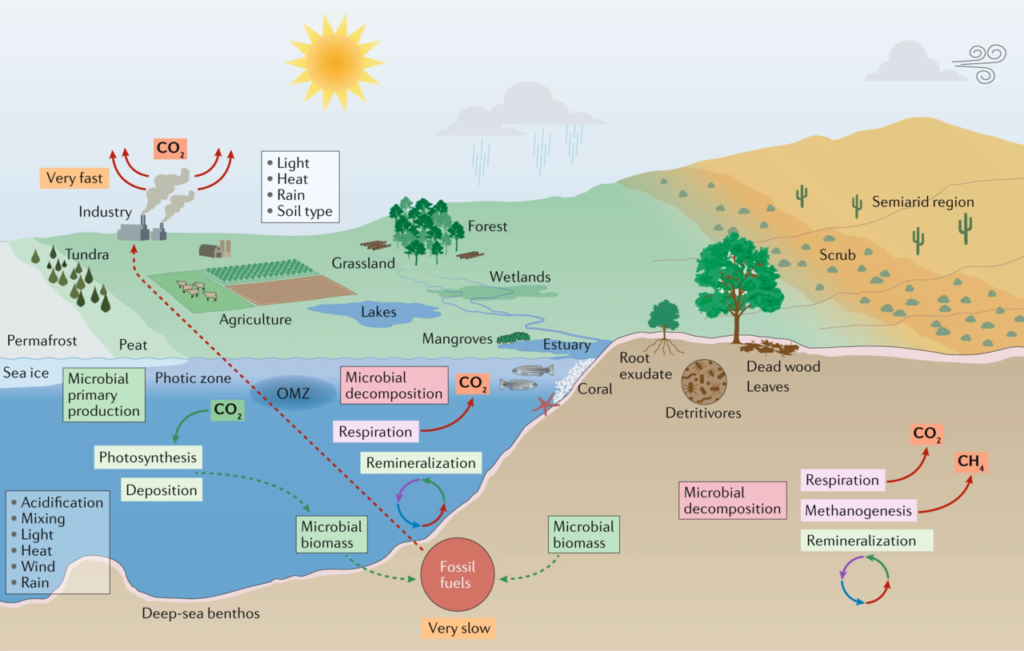 Microorganisms and climate change 1 |