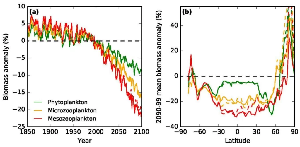 correlation between phytoplankton populations and global temperature changes Source Shark Research |