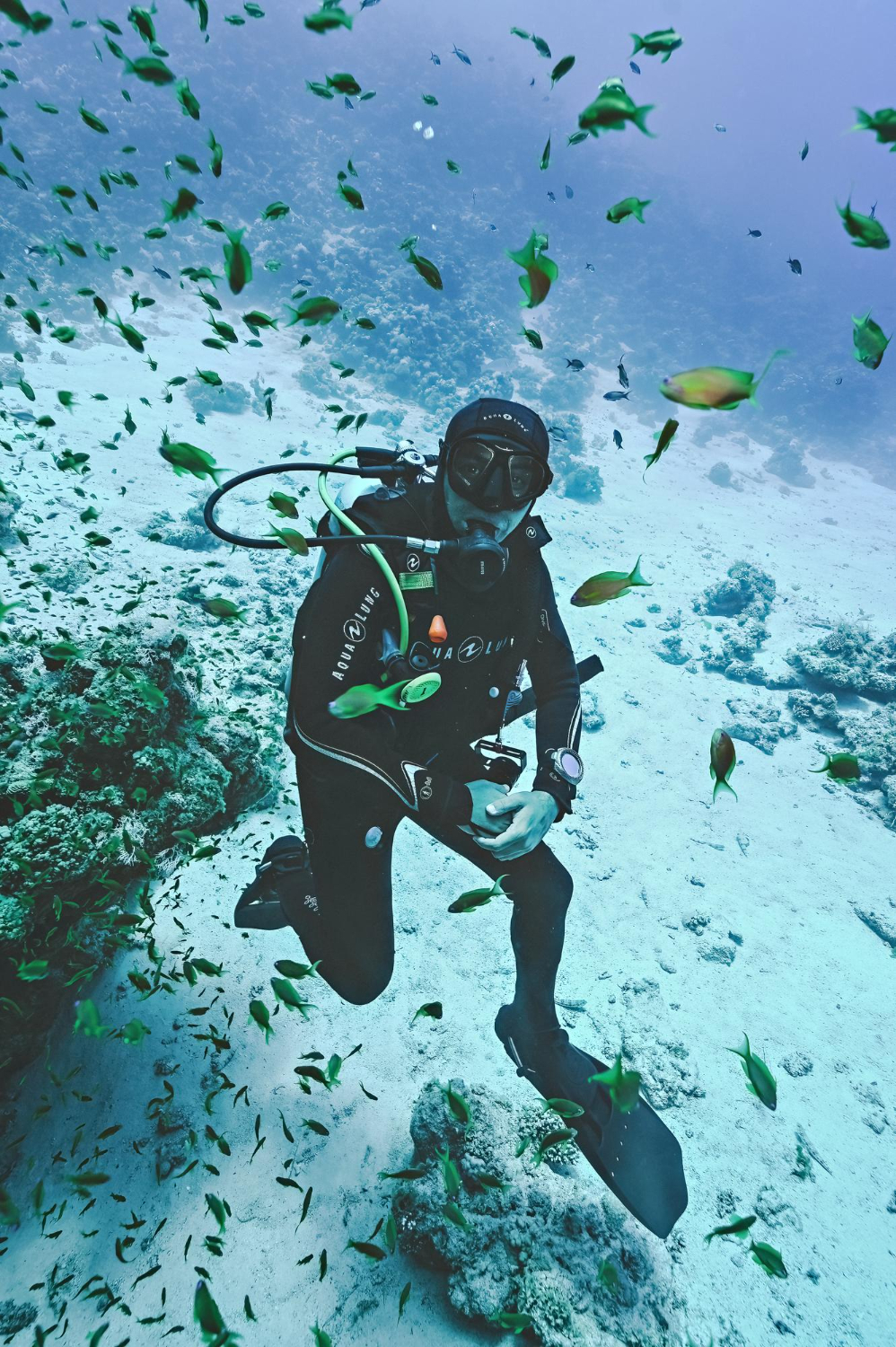 padi dive center muscat Archives - Page 3 of 3 - MolaMola Diving Center