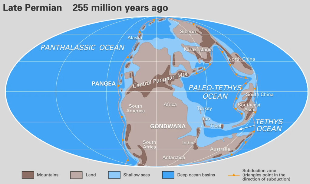 Gondwanaland and the Tethys Sea