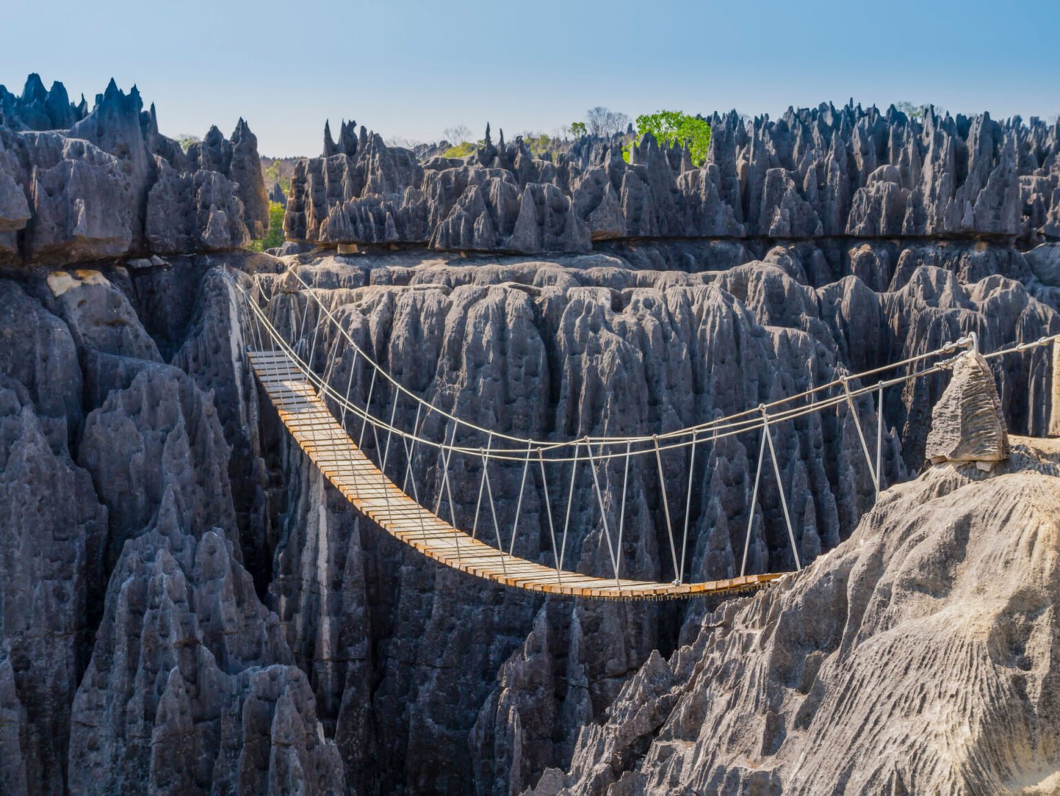 Discover Tsingy De Bemaraha Madagascar s 100 Miles Of Razor Sharp 