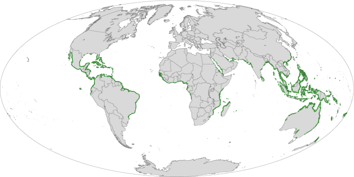 Global Distribution of the Mangroves