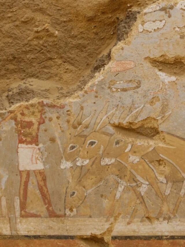 Ancient Egyptian Tomb Unveiled: A Painted Time Capsule