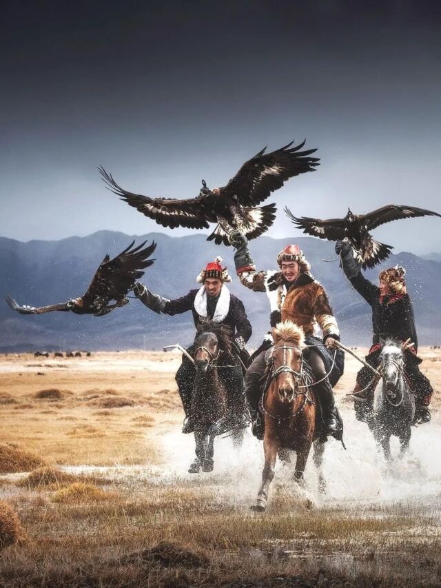 Eagle Hunters of Mongolia: An Ancient Art of Partnership | Let's Talk ...