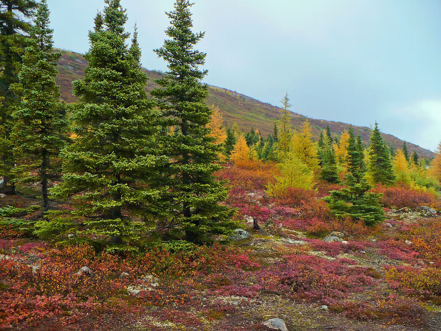 Canadian Shield: Rugged Beauty And Unexpected Riches Within | Let's ...