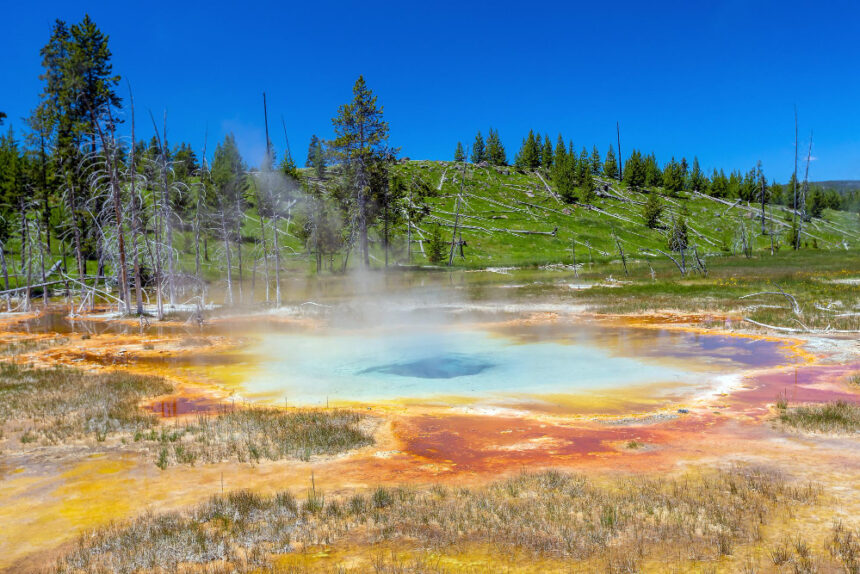 Yellowstone National Park