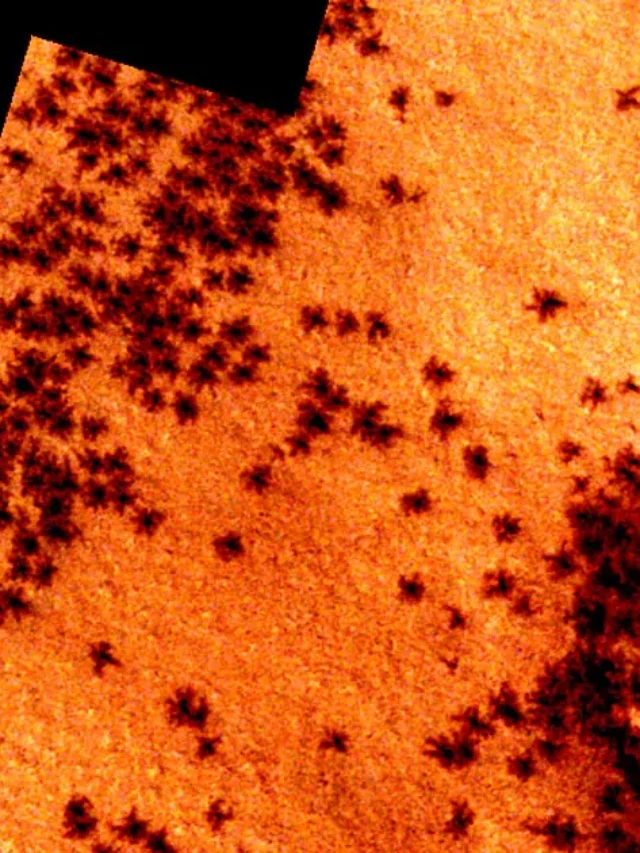 Are Those Spiders on Mars? NASA Images Cause a Stir