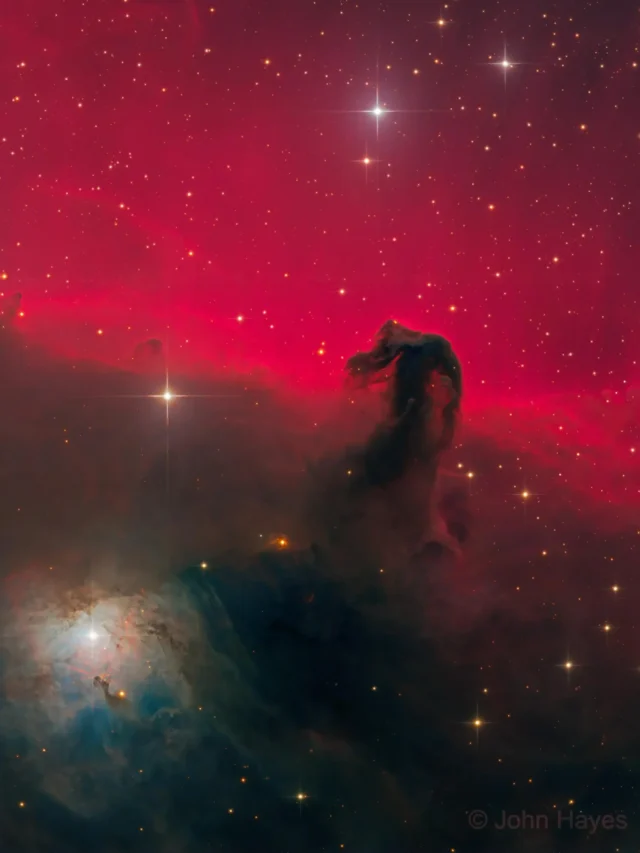 Celestial Equine: The Astonishing Horsehead Nebula