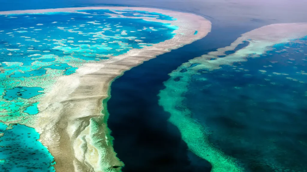 Why is the Great Barrier Reef important?