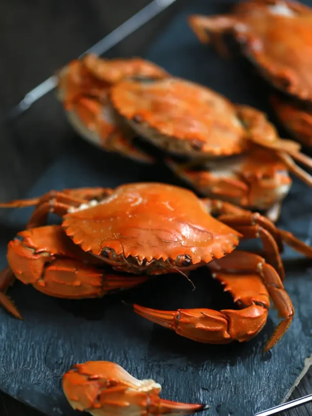 Evolution’s Favorite Design? The Crabs Keep Coming (And We’re Not Crabby About It!)