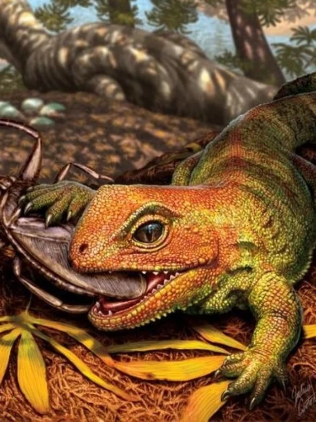 “Eagle Lizard” Rediscovered: Extinct Reptile Found Alive in Texas