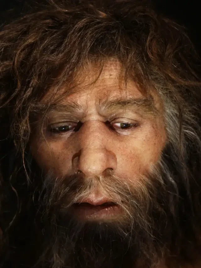Neanderthals: ‘More Human’ Than We Thought? New Study Revealed