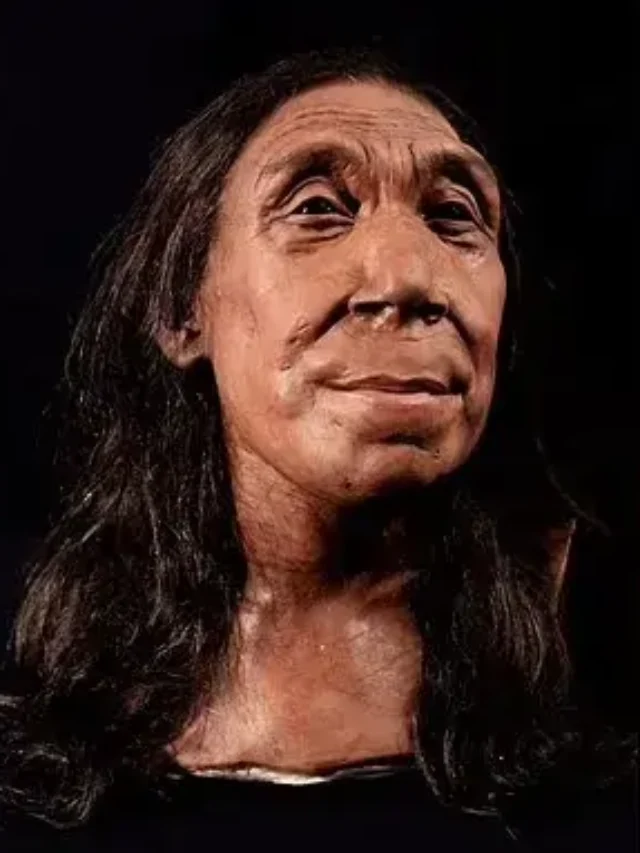 Shanidar Z: Unlocking the Secrets of Neanderthal Life and Humanity