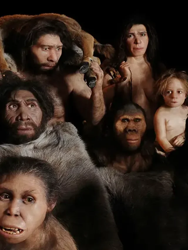 Did Our Ancestors Face Near Extinction?Did Our Ancestors Face Near Extinction?