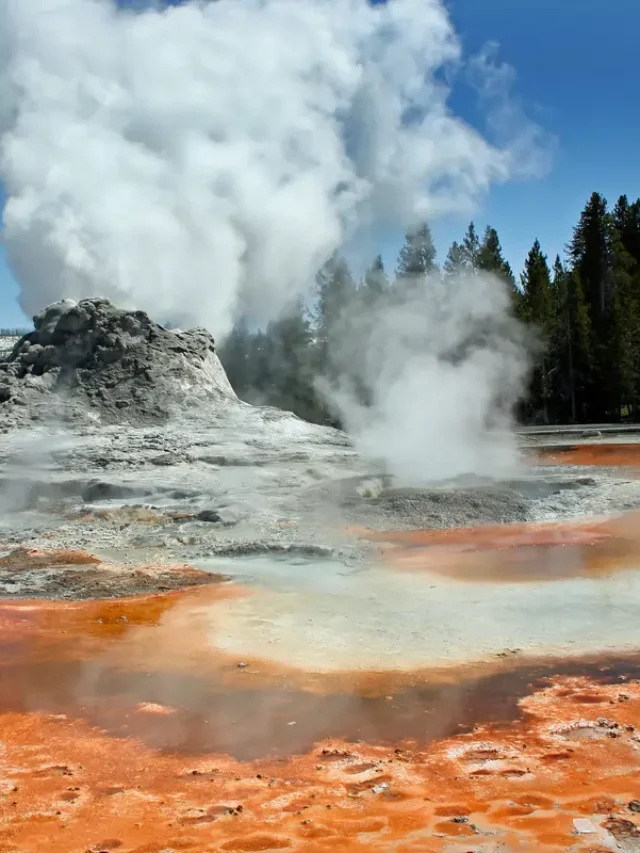 Billion-Year-Old Giant Viruses Found in Yellowstone Hot Springs