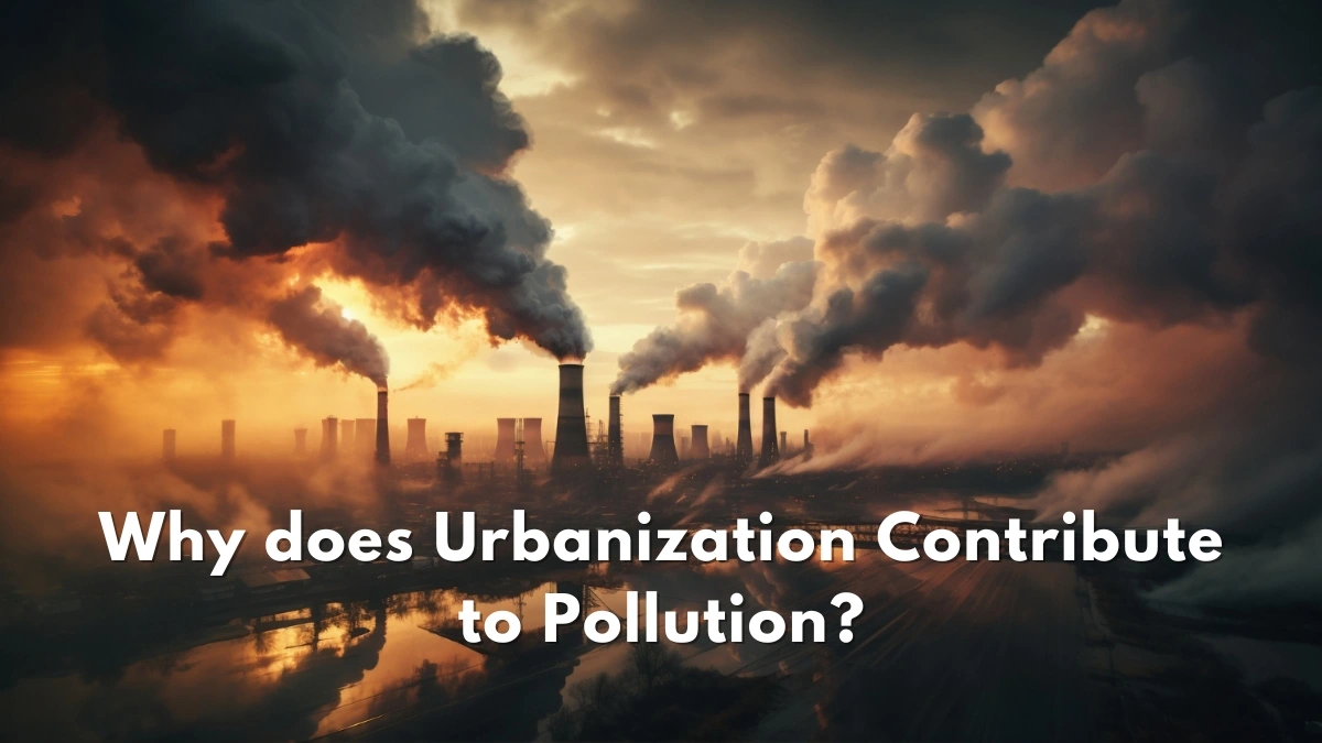 Why Urbanization Contributes to Pollution