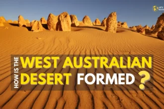 West Australian Desert