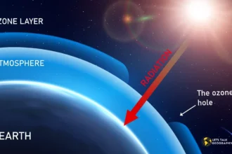 Which Atmospheric Layer Contains the Ozone Layer?