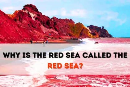 Why is the Red Sea called the 'Red Sea'