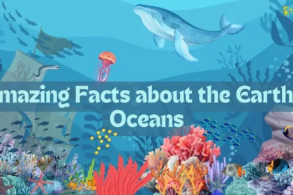 Amazing Facts about the Earth's Oceans