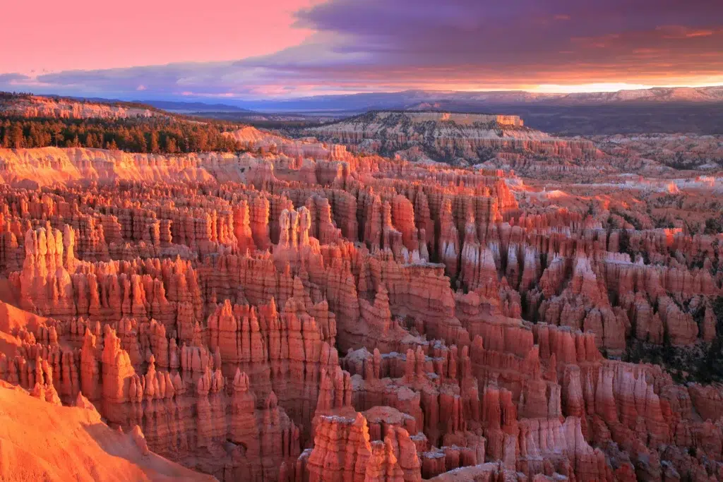 Bryce Canyon Hoodoos (Utah, USA)