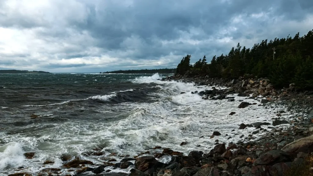 How Does Climate Change Impact Coastal Ecosystems In The U.S.