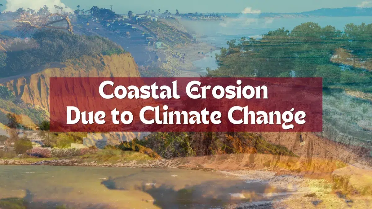 Coastal Erosion Due to Climate Change