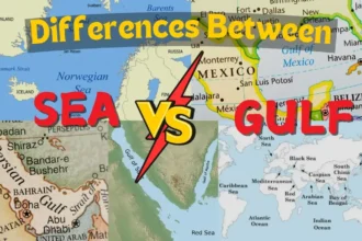 Illustration highlighting the key differences between seas and gulfs, emphasizing their geographical features, ecological roles, and importance for trade and marine life.