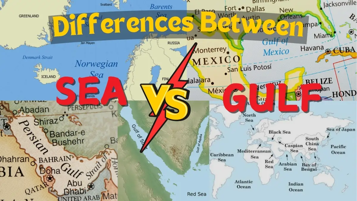 Illustration highlighting the key differences between seas and gulfs, emphasizing their geographical features, ecological roles, and importance for trade and marine life.