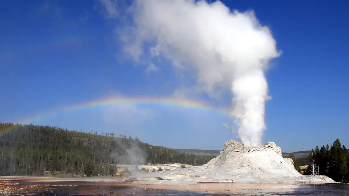 A powerful geyser eruption showcasing steam and water shooting into the air, demonstrating the natural phenomenon of geyser eruptions.