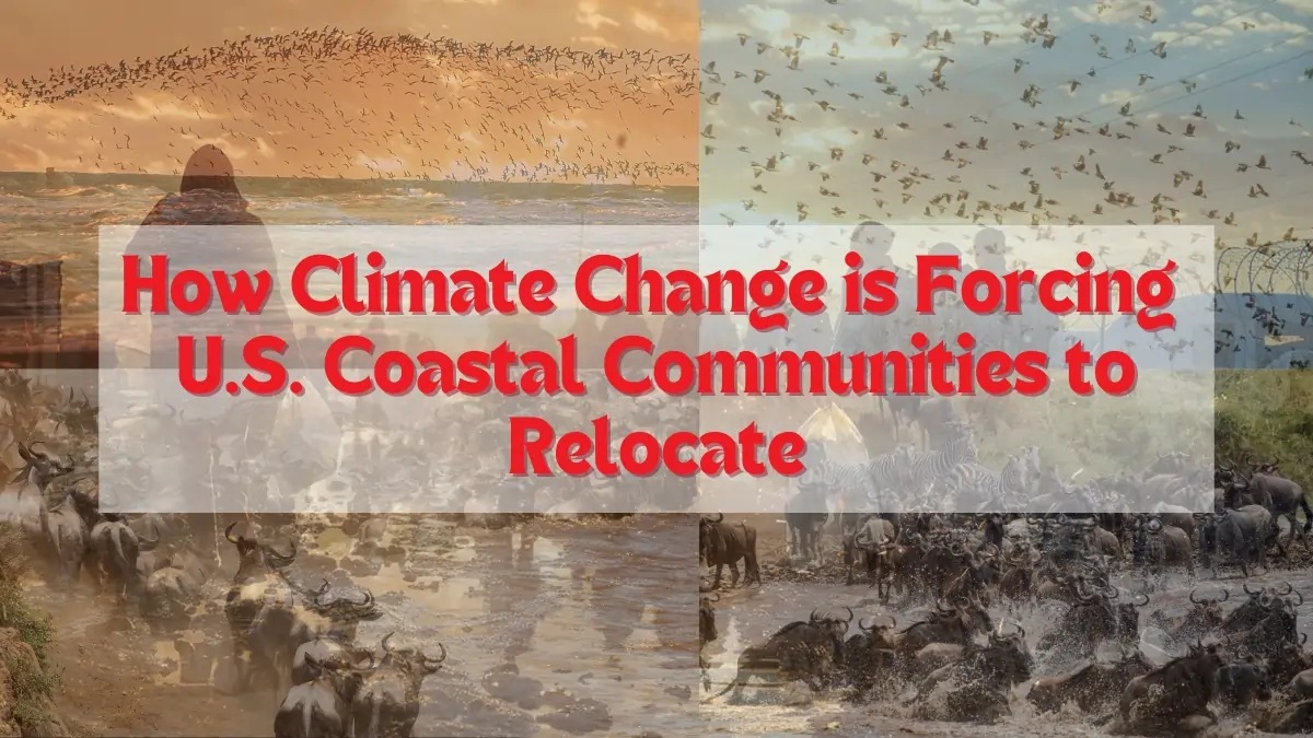 Climate migration: U.S. coastal communities forced to relocate due to rising sea levels and climate change impacts.