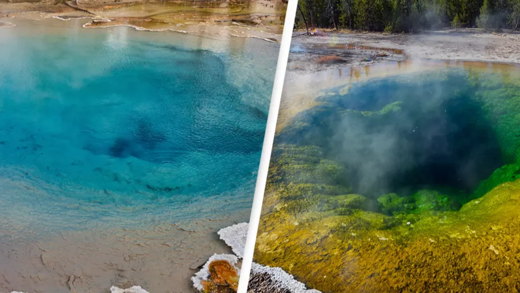 Impact of Throwing Coins into Thermal Pools at Yellowstone National Park