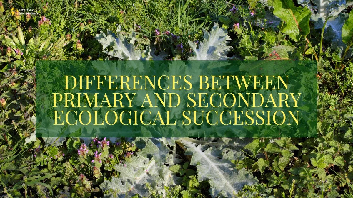 Primary and Secondary Ecological Succession