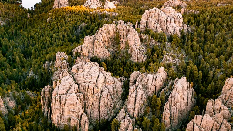 Black Hills National Forest (South Dakota & Wyoming)