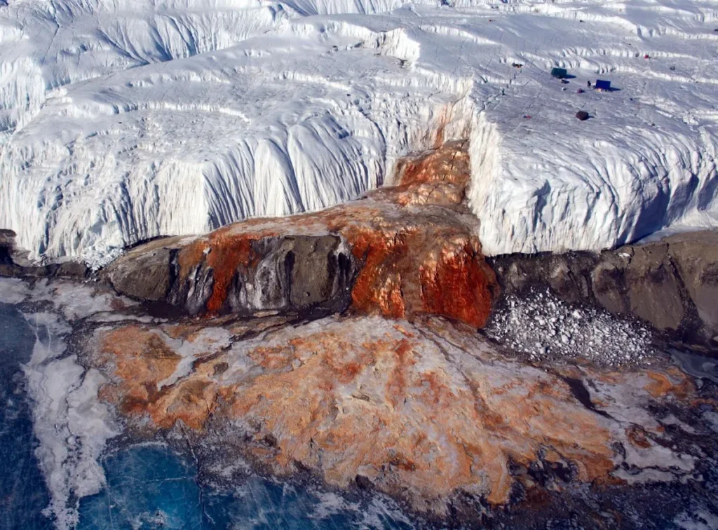 Weirdest looking natural structures