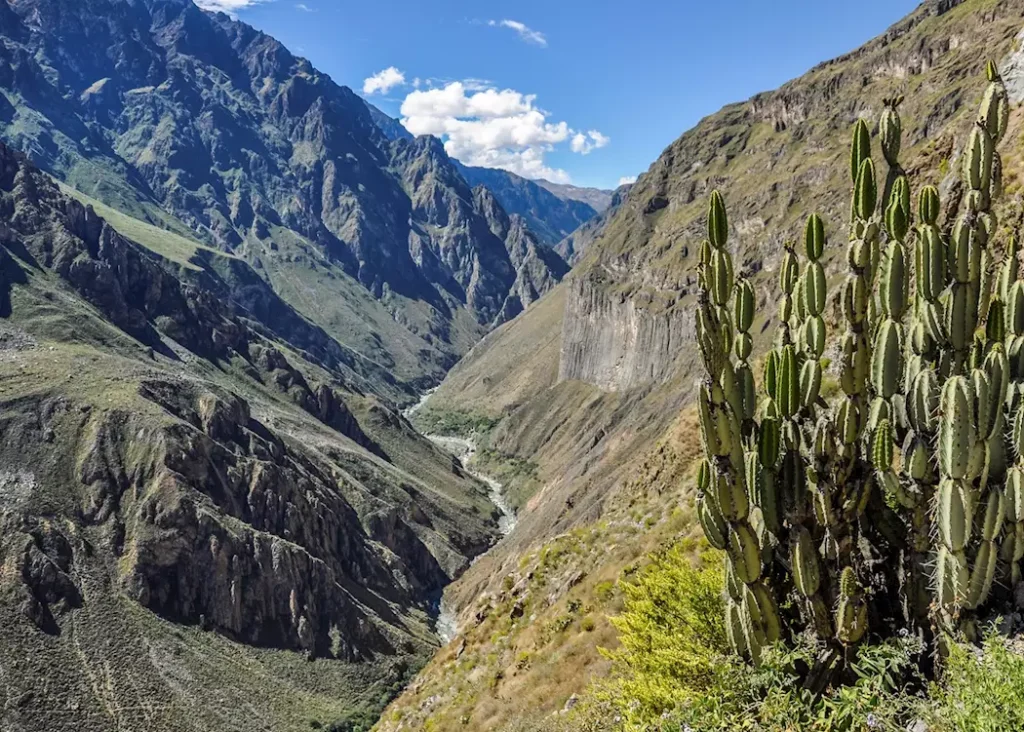 Colca Canyon, Peru – One of the deepest canyons in the world, featuring breathtaking cliffs, lush valleys, and vibrant Andean wildlife.