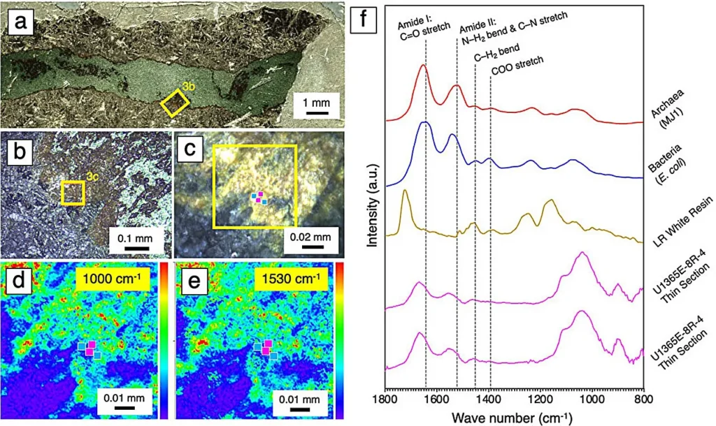 Optical and O-PTIR analysis of potential microbial life signatures in geological samples.