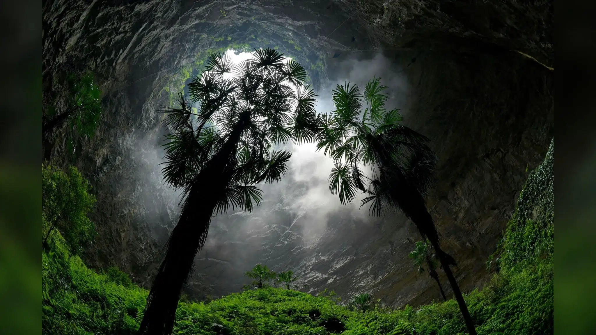 Giant sinkholes – Lush vegetation thriving deep within the Luoquanyan karst sinkhole in Hubei Province, China, forming a hidden underground forest.