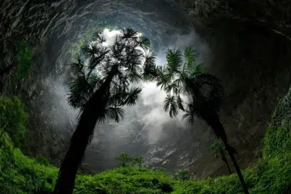 Giant sinkholes – Lush vegetation thriving deep within the Luoquanyan karst sinkhole in Hubei Province, China, forming a hidden underground forest.