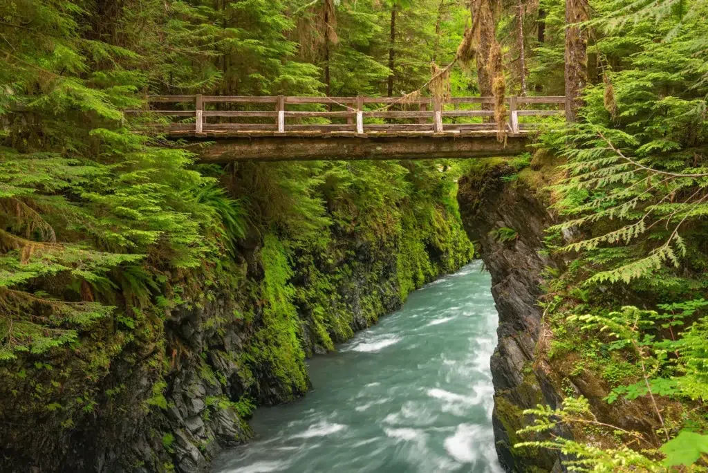 Olympic National Forest (Washington) – A serene river flowing through lush greenery with a rustic wooden bridge above. Image Credit: Matador Network.