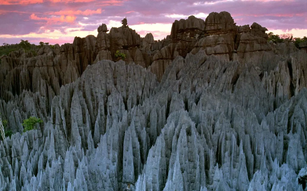 Weirdest looking natural structures