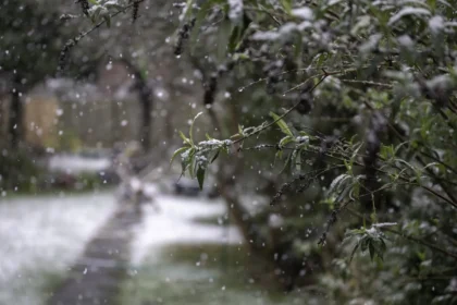 Heavy Rain and Wind Alert in Michigan